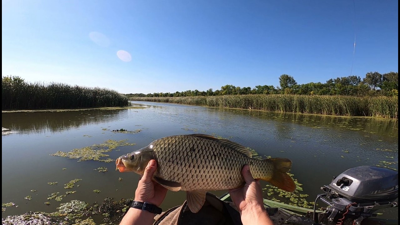 PONTYÖZÖN - Lakóhajós horgászat - Szivárvány Kikötő - Tiszavalk.