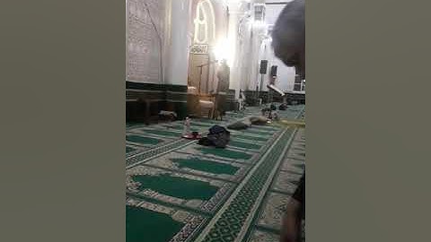 أجمل مقاطع سورة النحل للقارئ حسام مرزوق