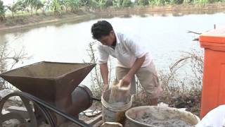 Agriculture 26 09 2015 Fish7Makara Vol 01(ការចញ្ចឹមត្រីអណ្តែង_ស្ថានីយ៍ផលិតពូជត្រី៧មករា_ភាគ-01)