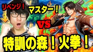 トレクル 特訓の森 火拳 リベンジ One Piece Youtube