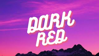 Celebrity Dark Red – Steve Lacy | Unofficial English Lyrical Video Net Worth