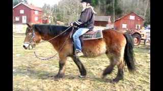 Jea Ztorm Feb 2012.Avi