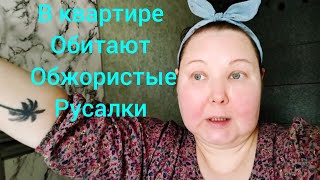 видео: МОЙ ЗЯТЬ БЕССОВЕСТНЫЙ  ПРИСПОСОБЛЕНЕЦ .БУДУ ГОТОВИТЬ ОТДЕЛЬНО И СЛЕДИТЬ ЗА ХОЛОДИЛЬНИКОМ. картинка: МОЙ ЗЯТЬ БЕССОВЕСТНЫЙ  ПРИСПОСОБЛЕНЕЦ .БУДУ ГОТОВИТЬ ОТДЕЛЬНО И СЛЕДИТЬ ЗА ХОЛОДИЛЬНИКОМ.