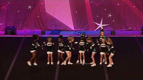 Cheer Sport Pocket Sharks Tiny Prep 1YT