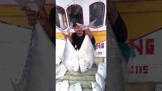 Spot pulau Legundi #fishing #mancing #mancingmania