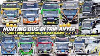 Download Lagu HEBOH‼️😍FULL TELOLET BASURI🤩Hunting Bus di Tikungan Anyer !! Spesial Trip Anyer Banyak Bus Artis  MP3