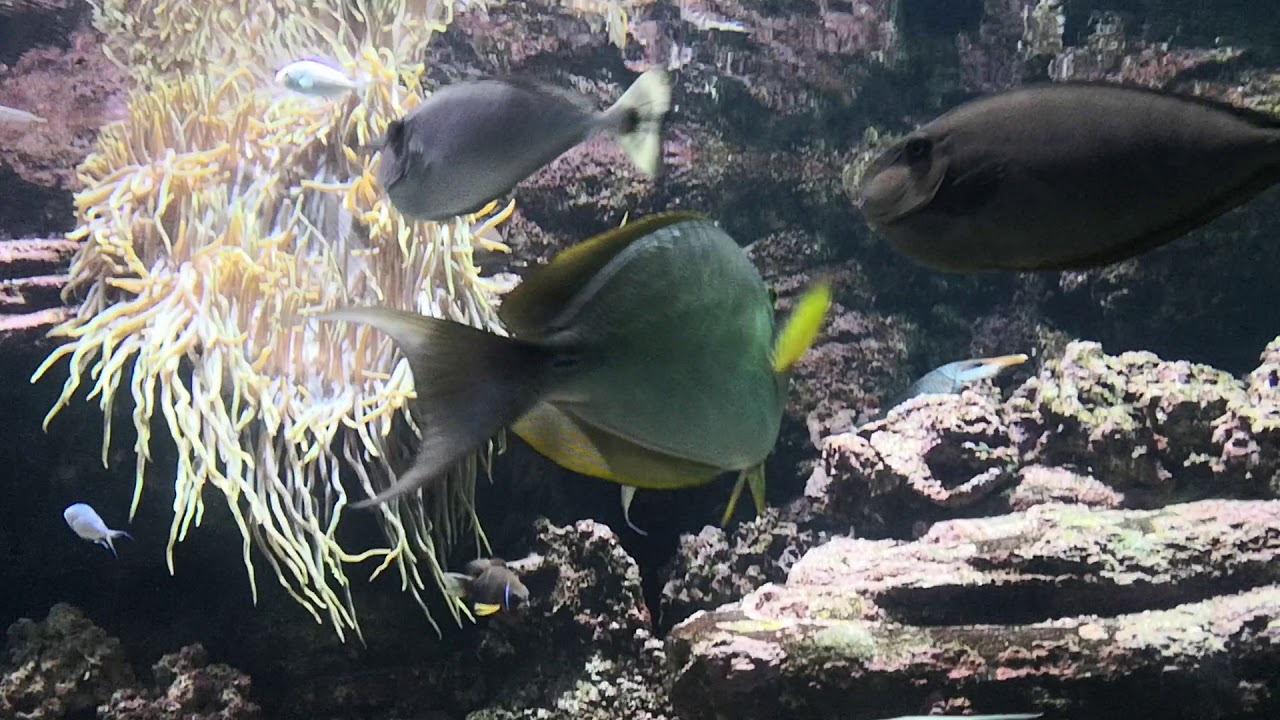 Summer Holiday 2019(12)