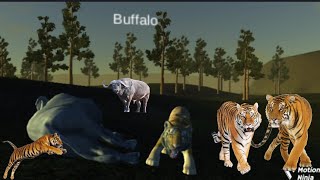 Wild Tiger Survival Simulator (by Vital Games Production) Android Gameplay [HD] screenshot 2