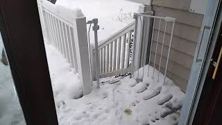 Videos Caseros(2)