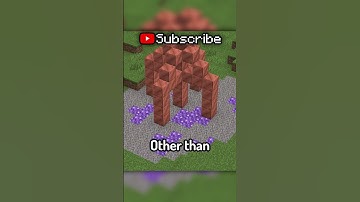 The MOST useless item in Minecraft