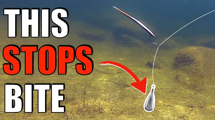 SHOCKING: DROPSHOT Weight Does What?? INCREDIBLE Underwater Footage Reveals Hidden Secret