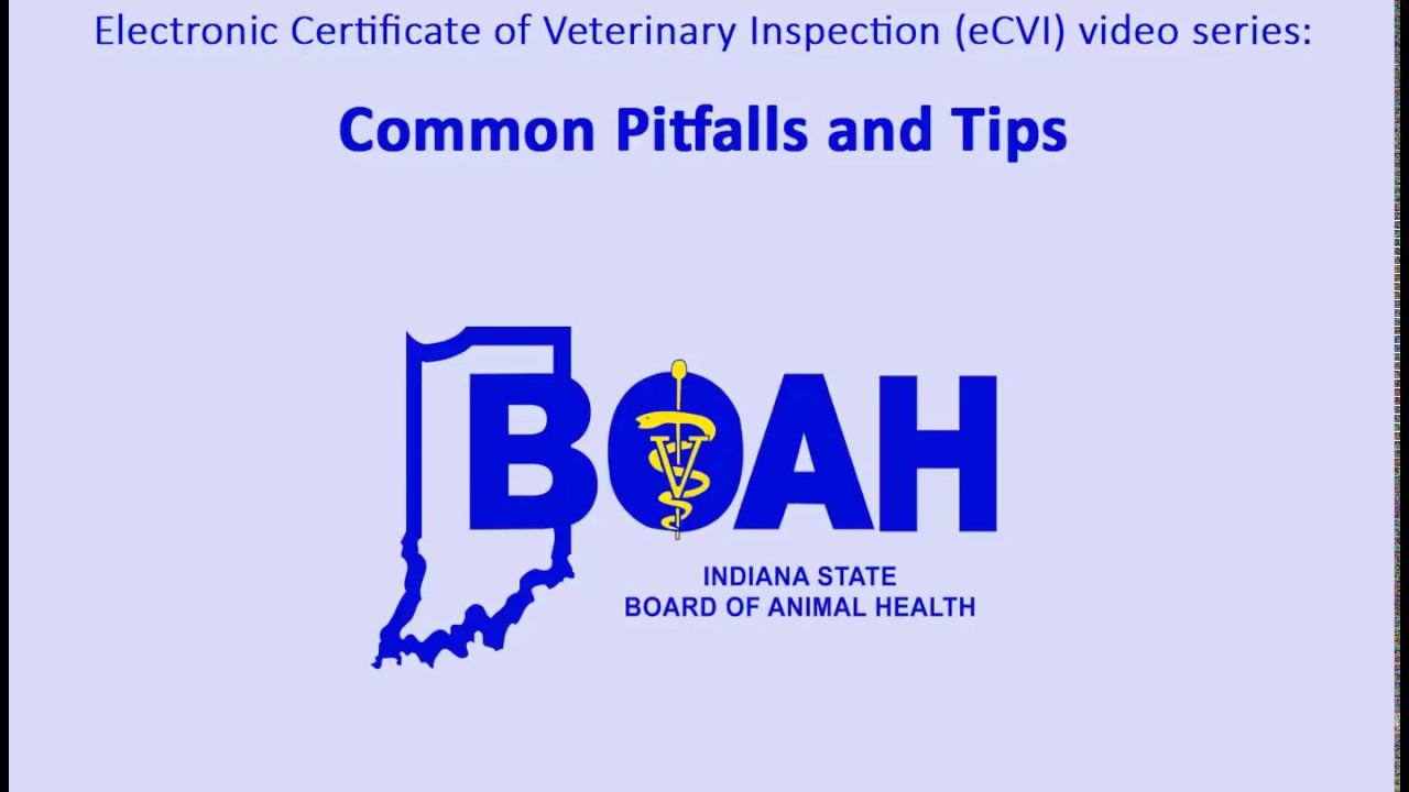 Ecvi Common Pitfalls and Tips Using the eCVI - YouTube