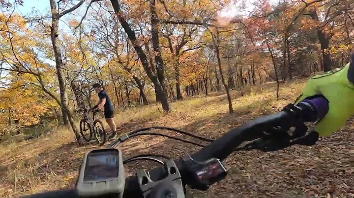 Tripped by a tree