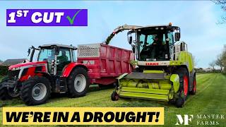 We’re in a drought! First cut ✅ yields are average, maize drilling begins, we’re at a food festival