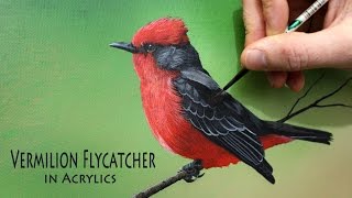 Acrylic painting time lapse of a vermilion flycatcher