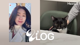 외향형 EEEE의 미루다 완성한 연말.zip 브이로그 | 첫 테무 쇼핑, 밥솥에 내솥 없는채로 물 부어본 사람?