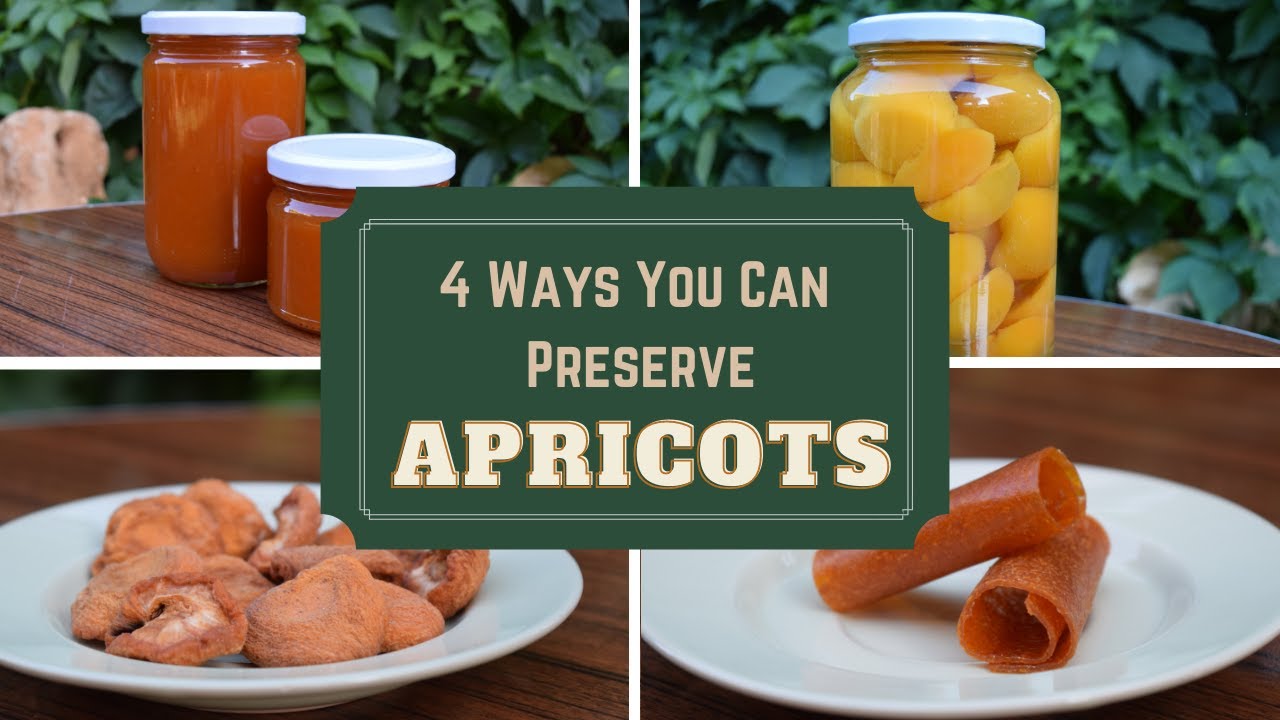 4 Ways You Can Preserve Apricots To Enjoy Them All Year Long | Kevani Farming