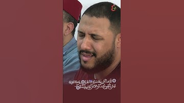إِنَّ الْأَبْرَارَ لَفِي نَعِيمٍ  وَإِنَّ الْفُجَّارَ لَفِي جَحِيمٍ //  القارئ أسامة الخلطي
