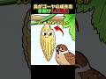 鳥がゴーヤの成長を手助けした理由