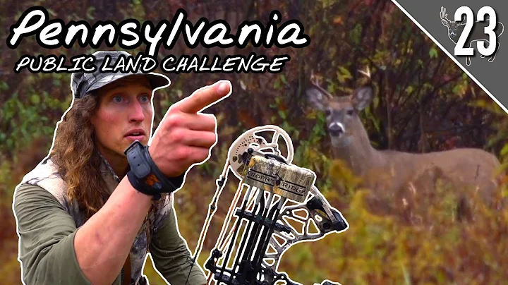 PA PUBLIC LAND CHALLENGE! - Day 2: Buck Parade!