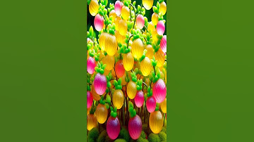 easy and fast techniques for propagating and growing goldenberry fruit trees #garden #fruit #nature