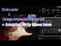 Stratocaster x neural dsp omega granophyre  amazing dirty blues tone