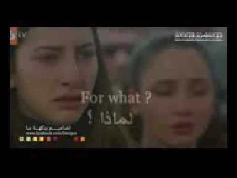 شفتو صوته شلون فدوه شلون تعبان محمد جمال