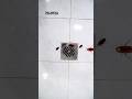 Banyak serangga berkeliaran di kamar mandi? Saatnya kamu perlu ganti Floor Drain PALOMA #rumahmodern