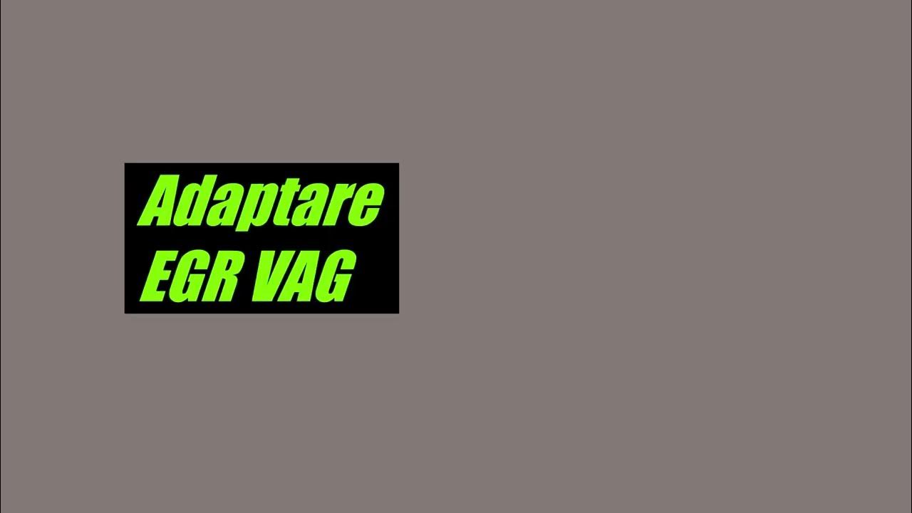 VAG VW EGR Delete by VCDS Adaptation YouTube