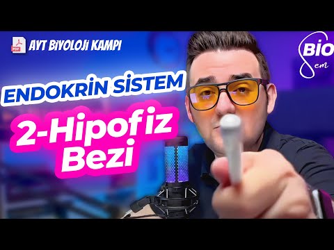 Endokrin Sistem-2 Hipofiz Bezi | Ayt Biyoloji Konu Anlatımı 11. Sınıf | 2024