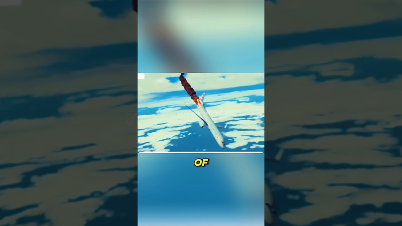 the passenger plane that suddenly fell from the sky real disaster story