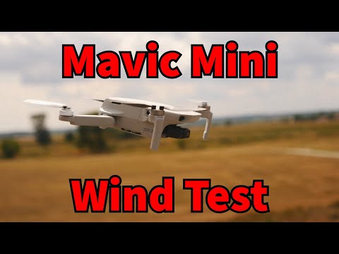 Dji Mavic Mini