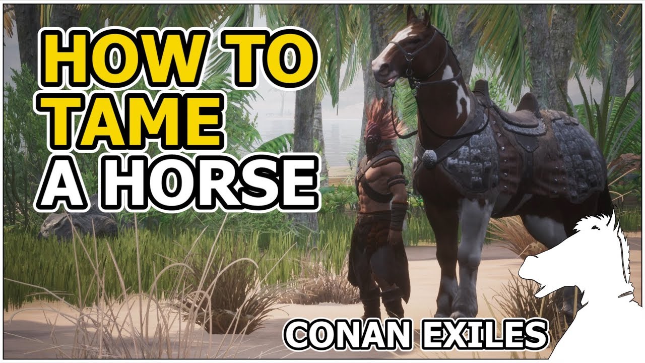 Конан кони. Conan Exiles Horse. Конан эксайлс жеребята. Конан Экзайл лошадь призрак.