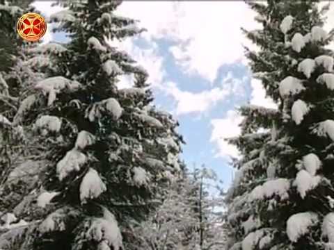 შობა-ახალი წელი მთაში