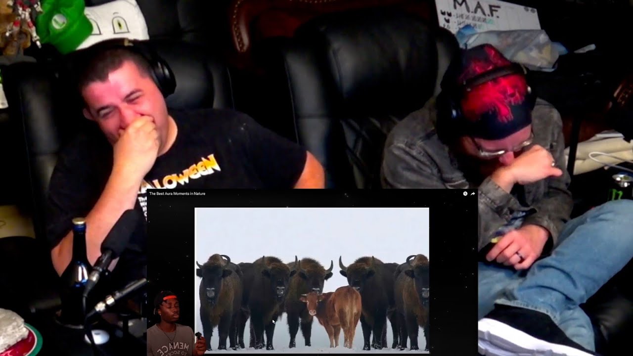 Лучшие моменты ауры на природе — @mndiaye_97 | RENEGADES REACT