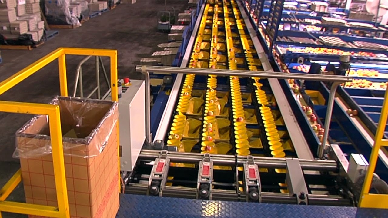 Sinclair RM6 Labeller OZ Pack