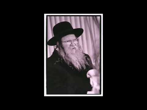 מודז'יץ -  נעימות מבית מודז'יץ - 3