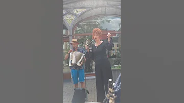 L'accordeonist op het straat muzikanten festival in Kampen 2025