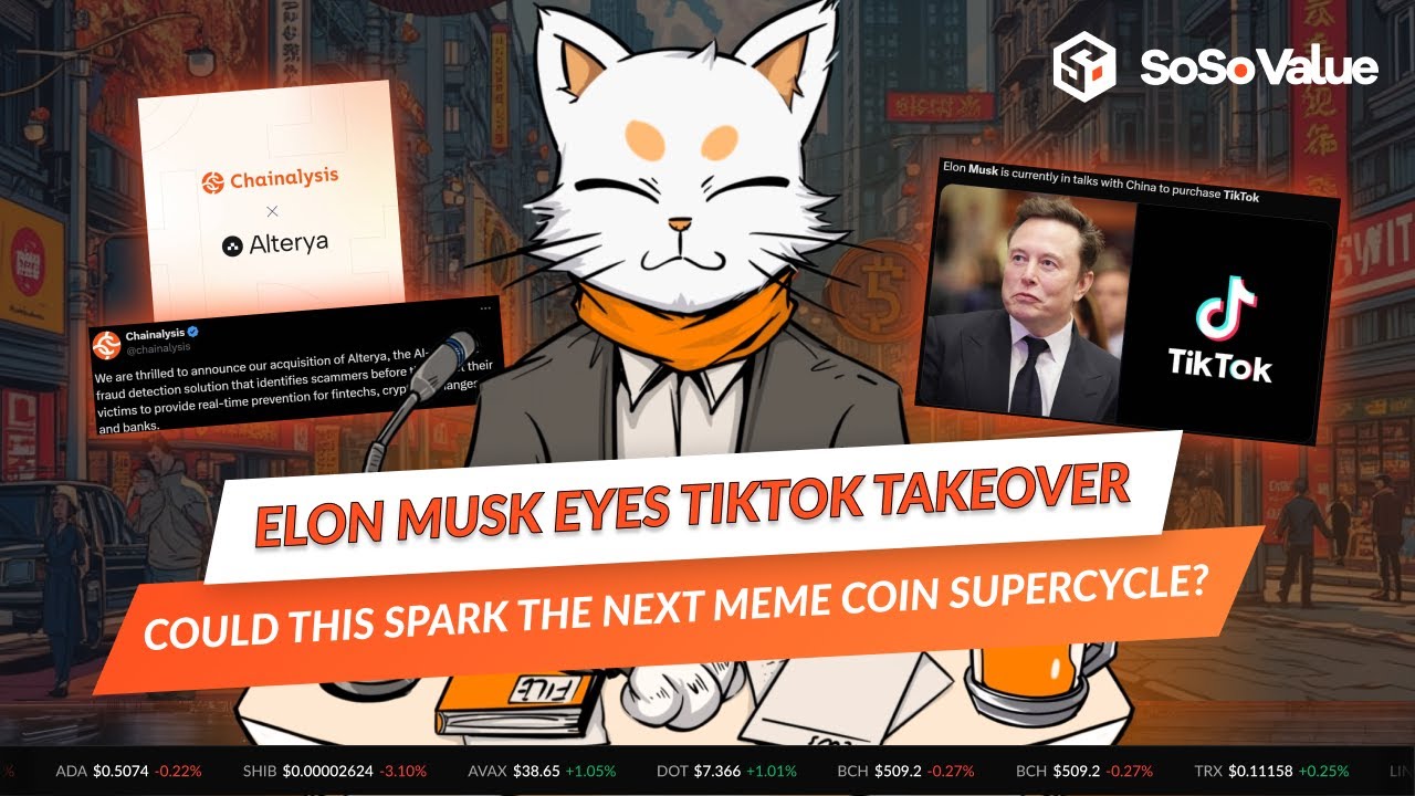 Elon Musk Eyes TikTok Takeover: Could This Spark the Next Meme Coin Supercycle? - SoSoValue News