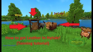 How to Get Leather in Hytale FAST (Tanning Hides Explained) | Viewer SMP Open