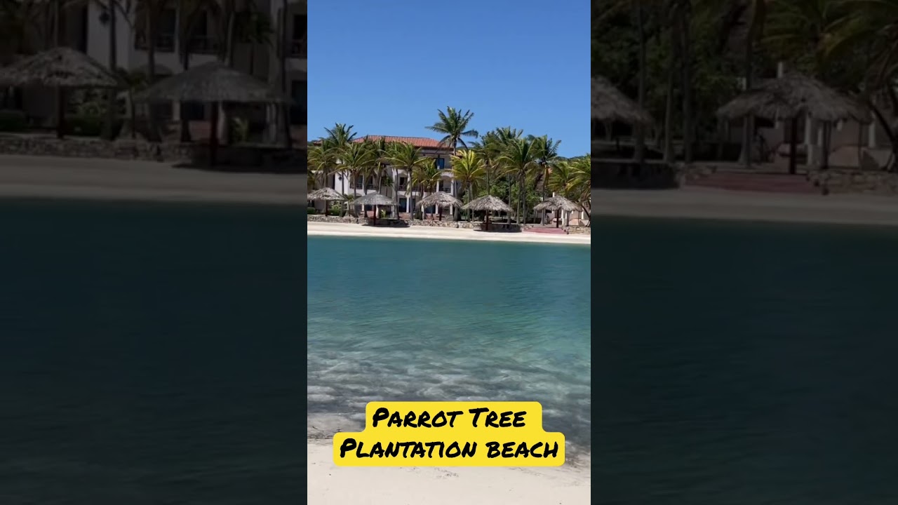 Roatan Real Estate - Parrot Tree Plantation Beach - Condo $125,000