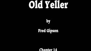 Old Yeller Ch 14