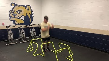 Multi-Directional Reactive Hurdle Hops