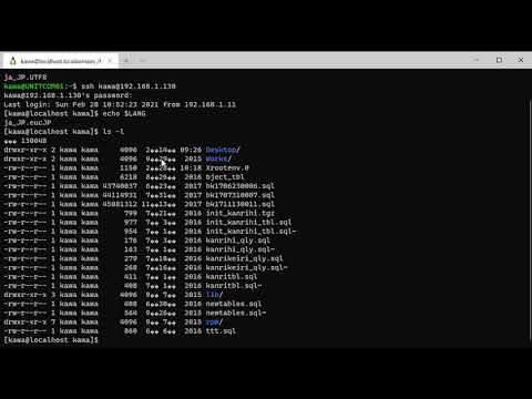 LANG環境変数が与える漢字コード体系への影響