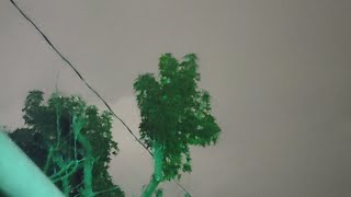 Thunder And Rain In The City