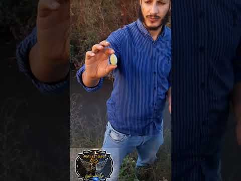 قثاء الحمار النبات العجيب يعالج التهاب الكبد الوبائي ابو صفار والشقيقه والصداع والجيوب الانفيه