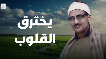 صوت يخترق القلوب… تلاوة خاشعة تهز الوجدان الشيخ محمد صديق المنشاوي 🎧🕊️