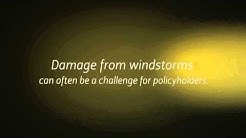 Wind Damage Insurance Claim Help From Licensed Public Adjusters