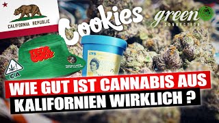 Cannabis Culture in California | GreenConnection in San Francisco | California Tour pt.1