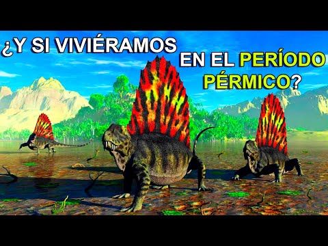 Video: ¿Cómo cambiaron los sinápsidos durante el pérmico?